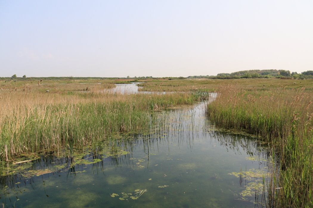  Cultuurlandschap van uitzonderlijke waarde: de Kwade Hoek (gemeente Goedereede) 